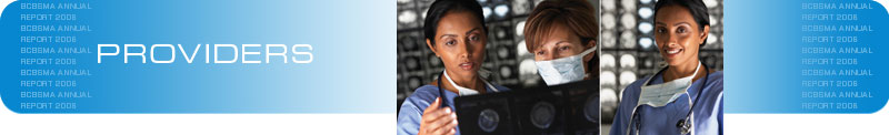 BCBSMA Annual Report 2006
